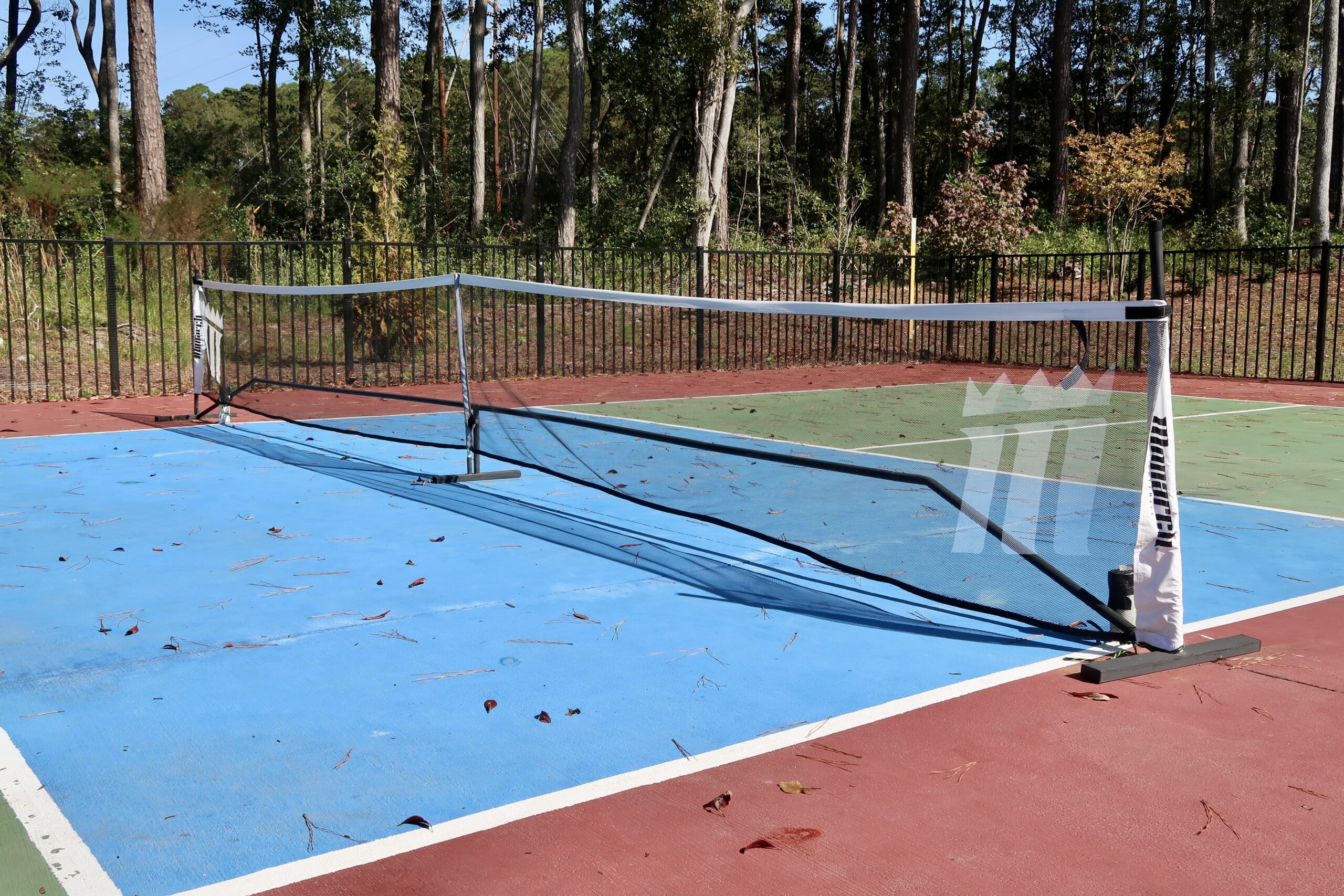 play pickleball south carolina